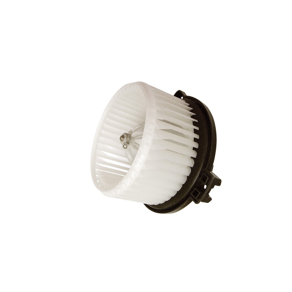 GPD Blower Motor 2311528