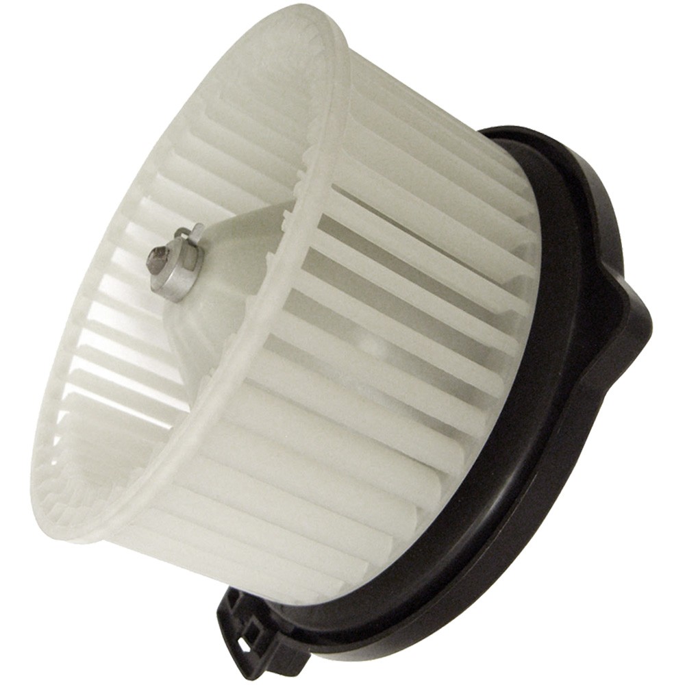 GPD Blower Motor 2311538