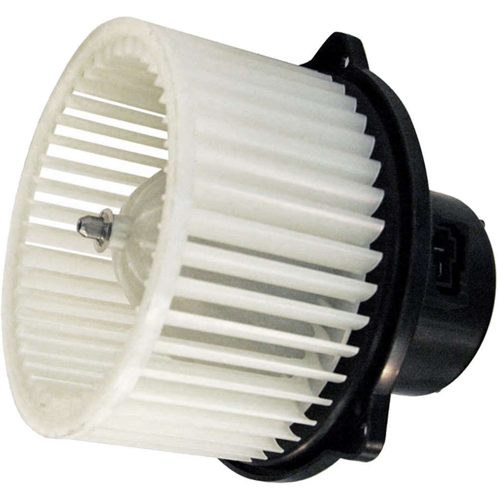 GPD Blower Motor 2311624