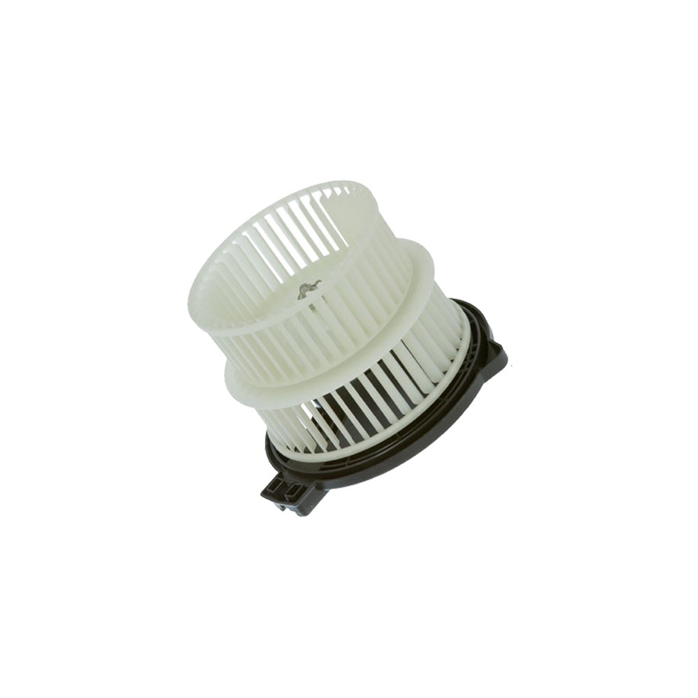 GPD Blower Motor 2311662
