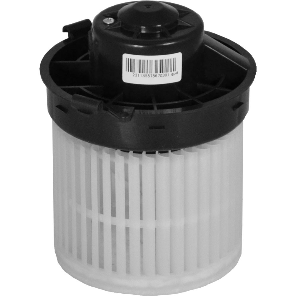 GPD Blower Motor 2311855