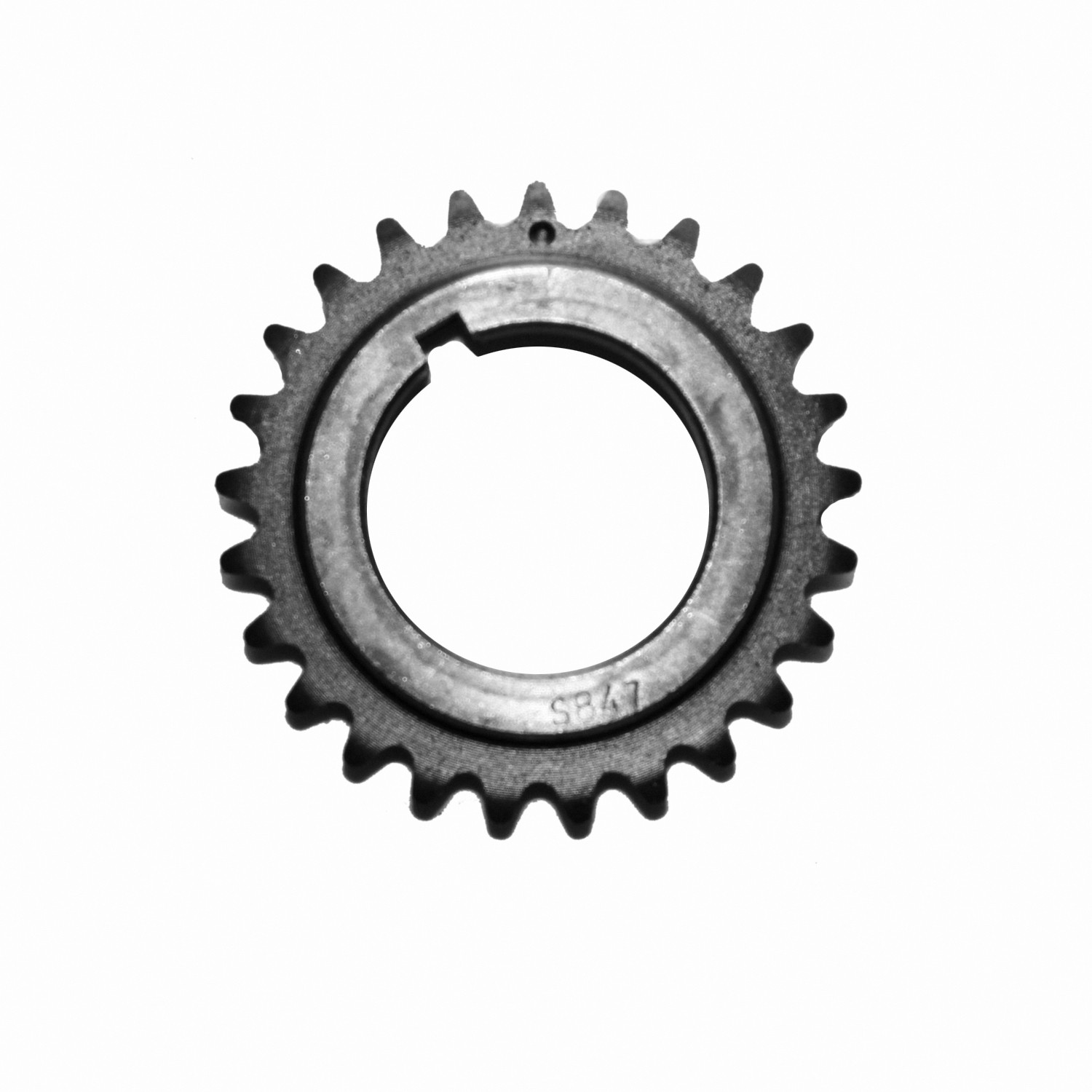 INA Oil Pump Chain ZC0237