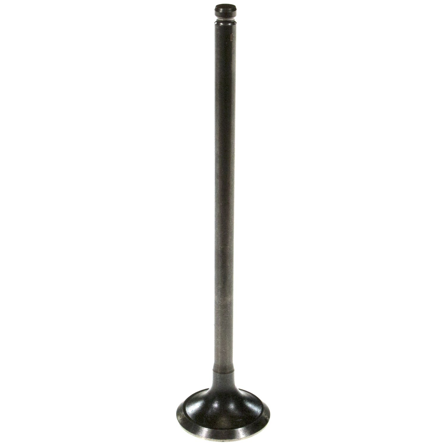 MELLING Exhaust Valve V5525