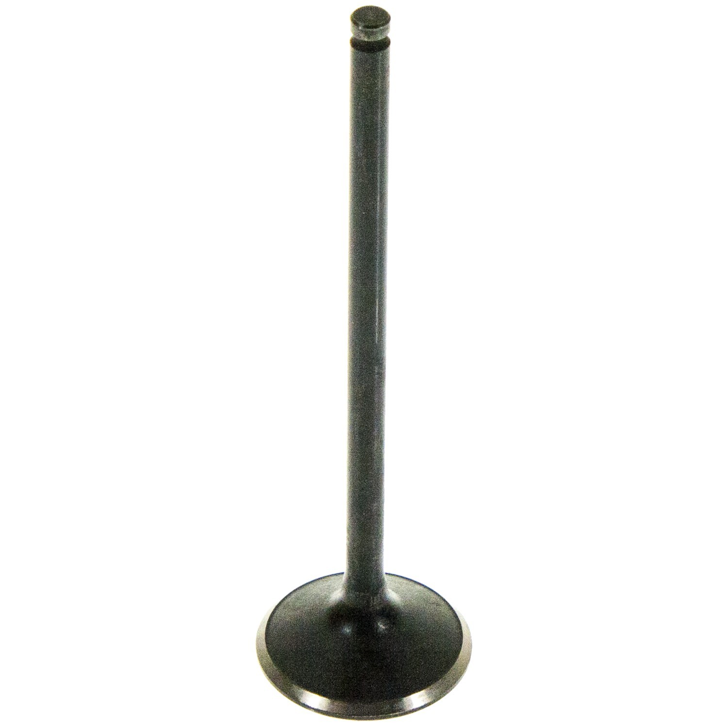 MELLING Exhaust Valve V5562