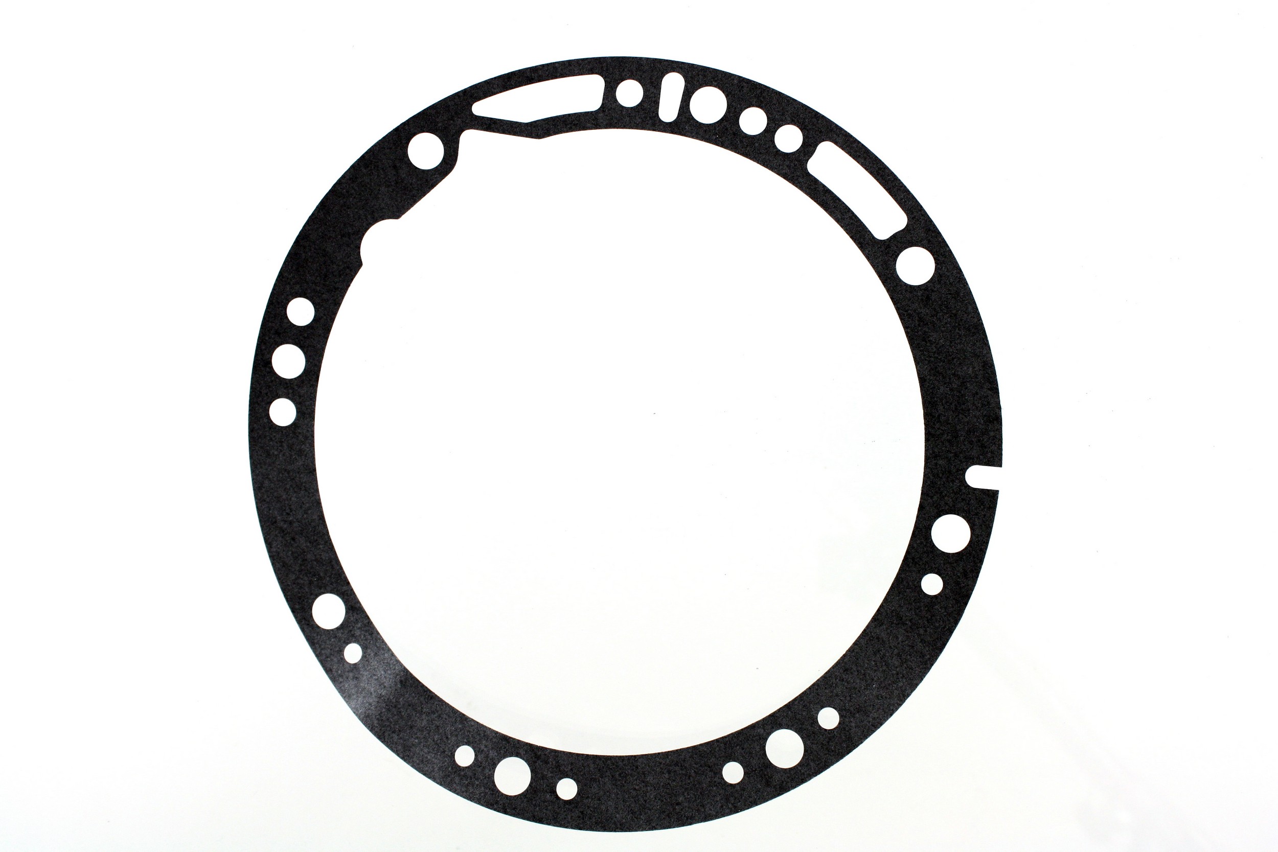 PIONEER Fluid Pump Gasket 749077