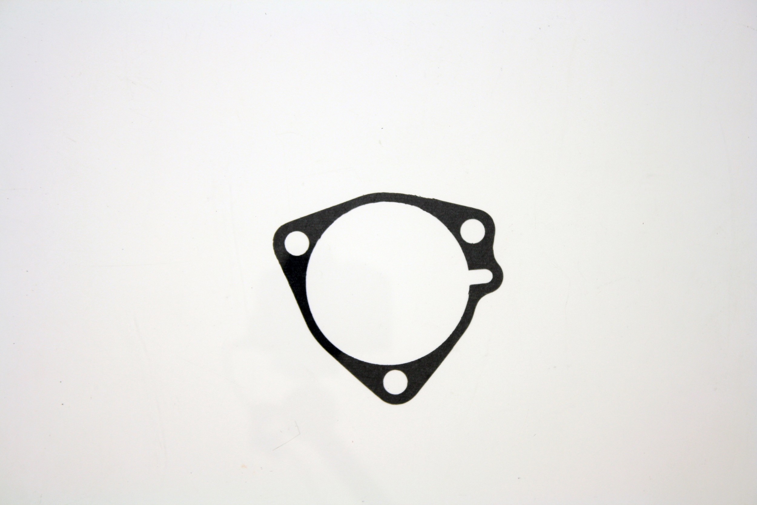 PIONEER Case Gasket 749116