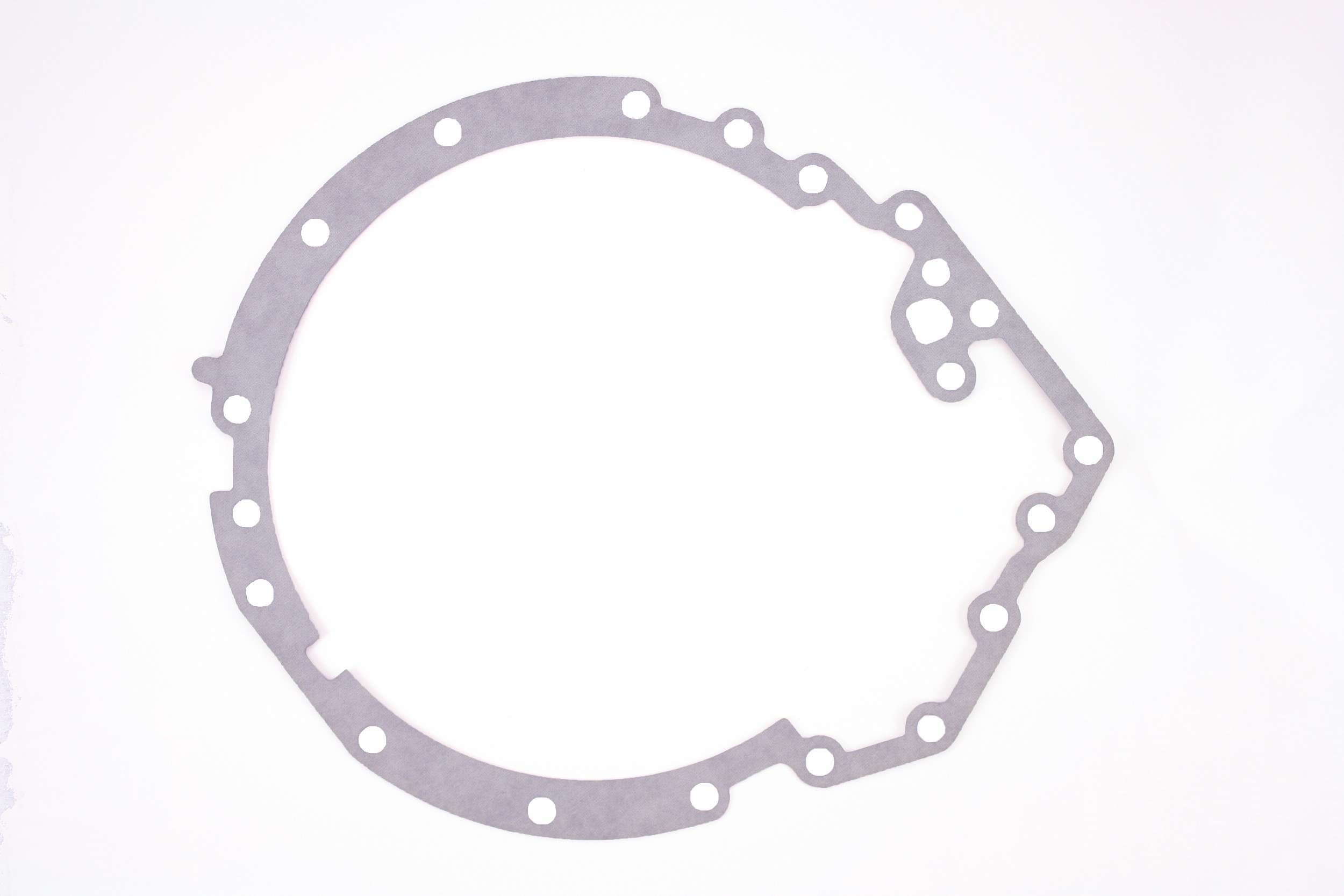 PIONEER Extension Housing Gasket 749288