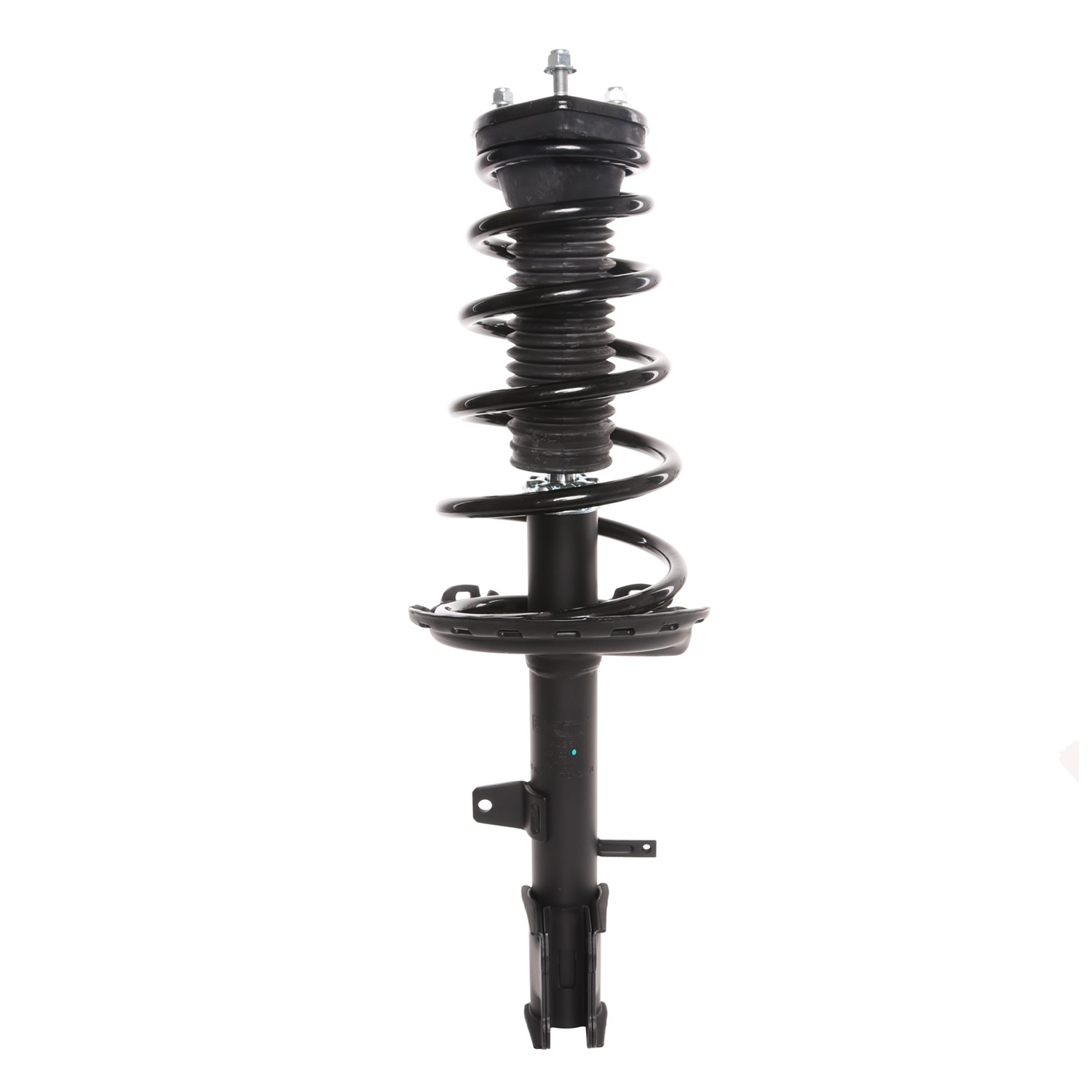 PRT Strut / Coil Spring / Mount Assembly 810425