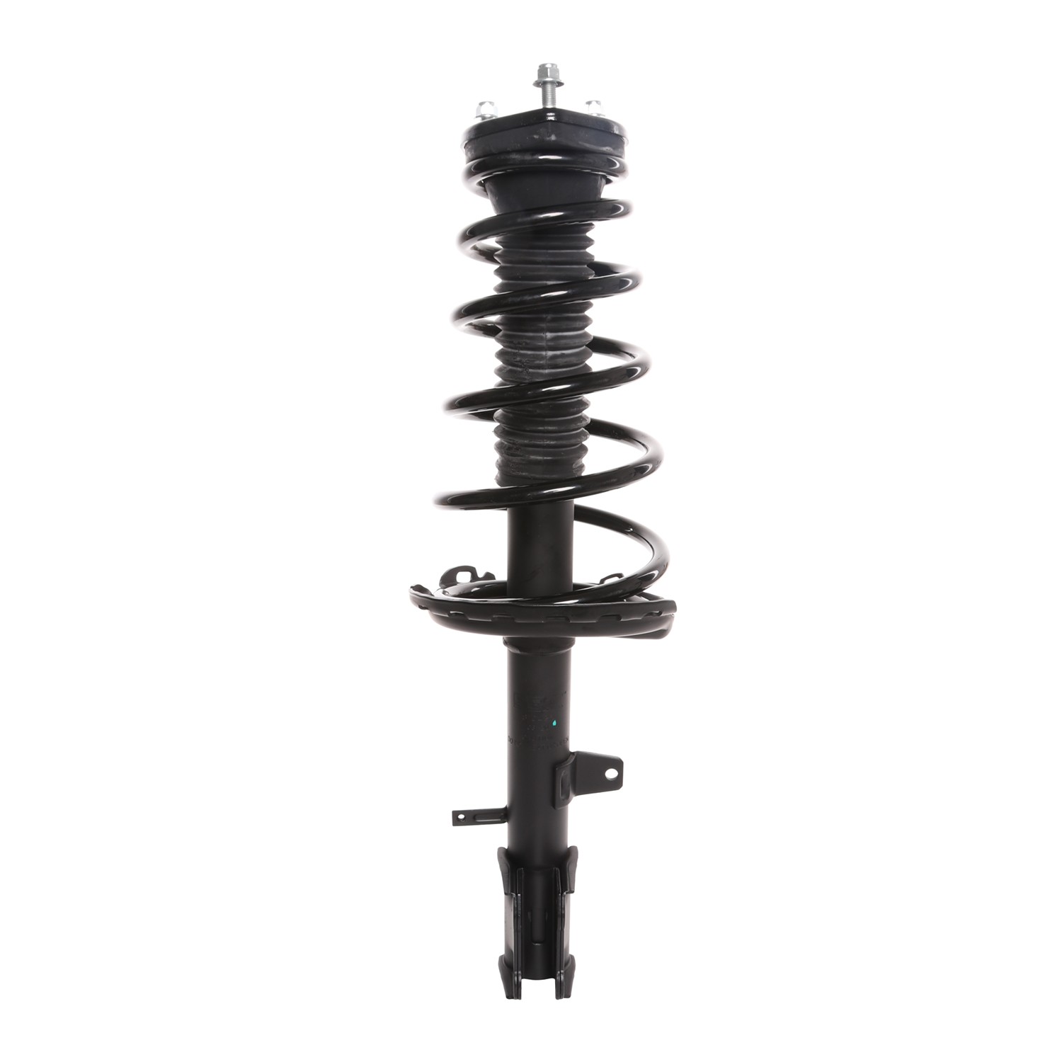 PRT Strut / Coil Spring / Mount Assembly 810426