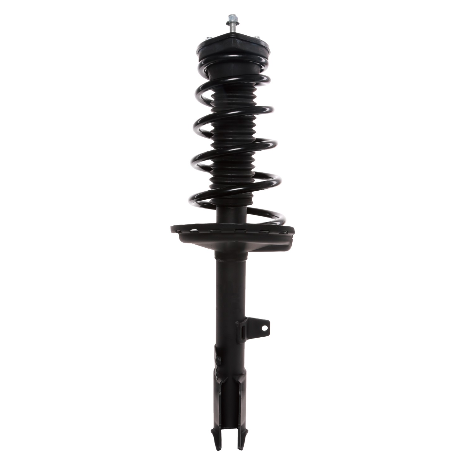 PRT Strut / Coil Spring / Mount Assembly 810496