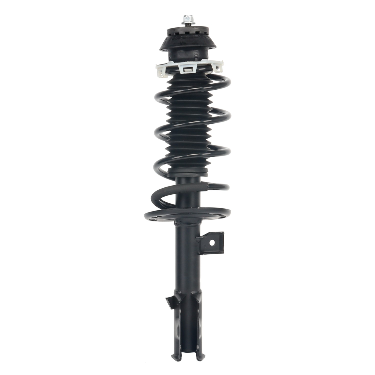PRT Strut / Coil Spring / Mount Assembly 813863