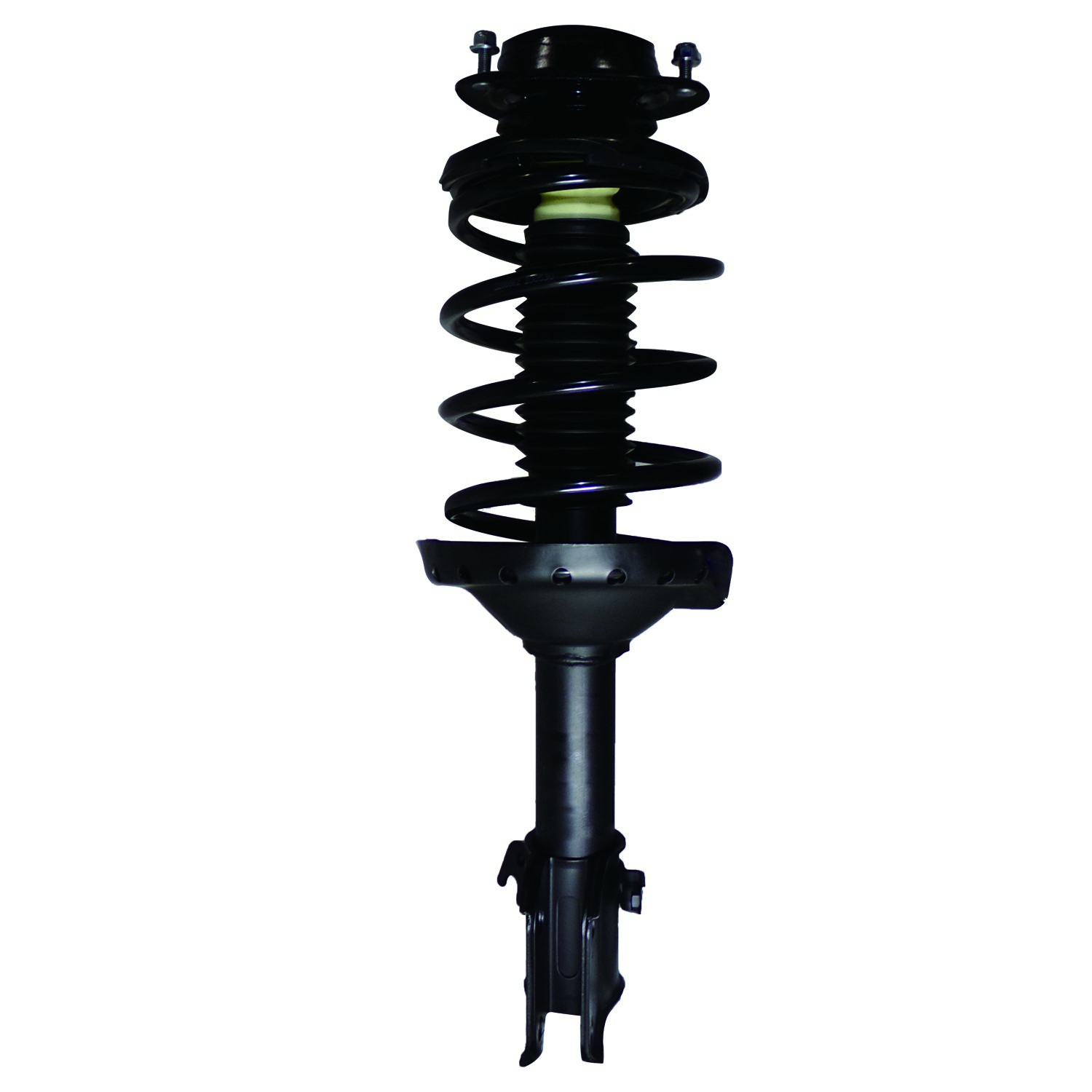 PRT Strut / Coil Spring / Mount Assembly 814231