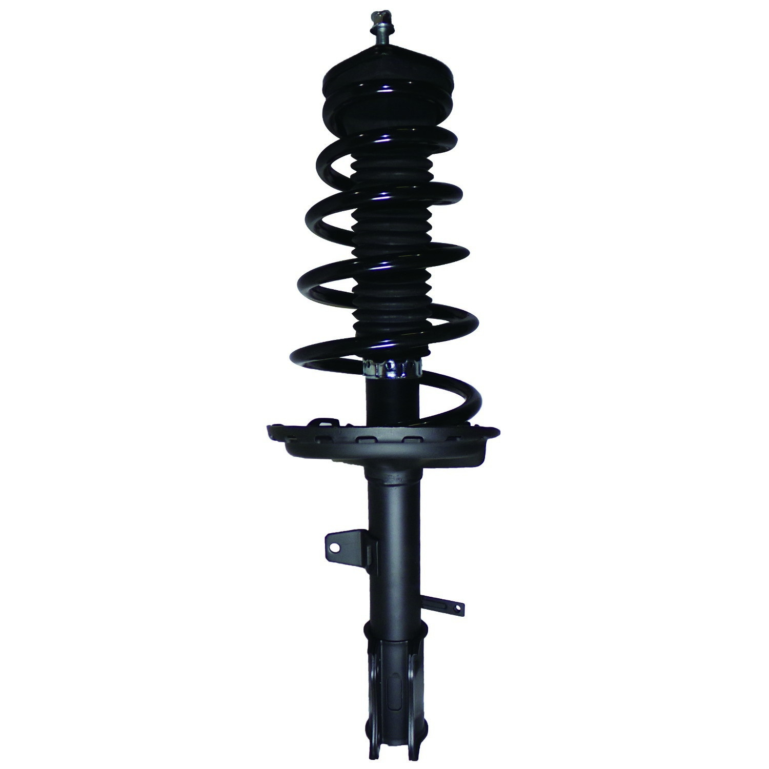 PRT Strut / Coil Spring / Mount Assembly 815047