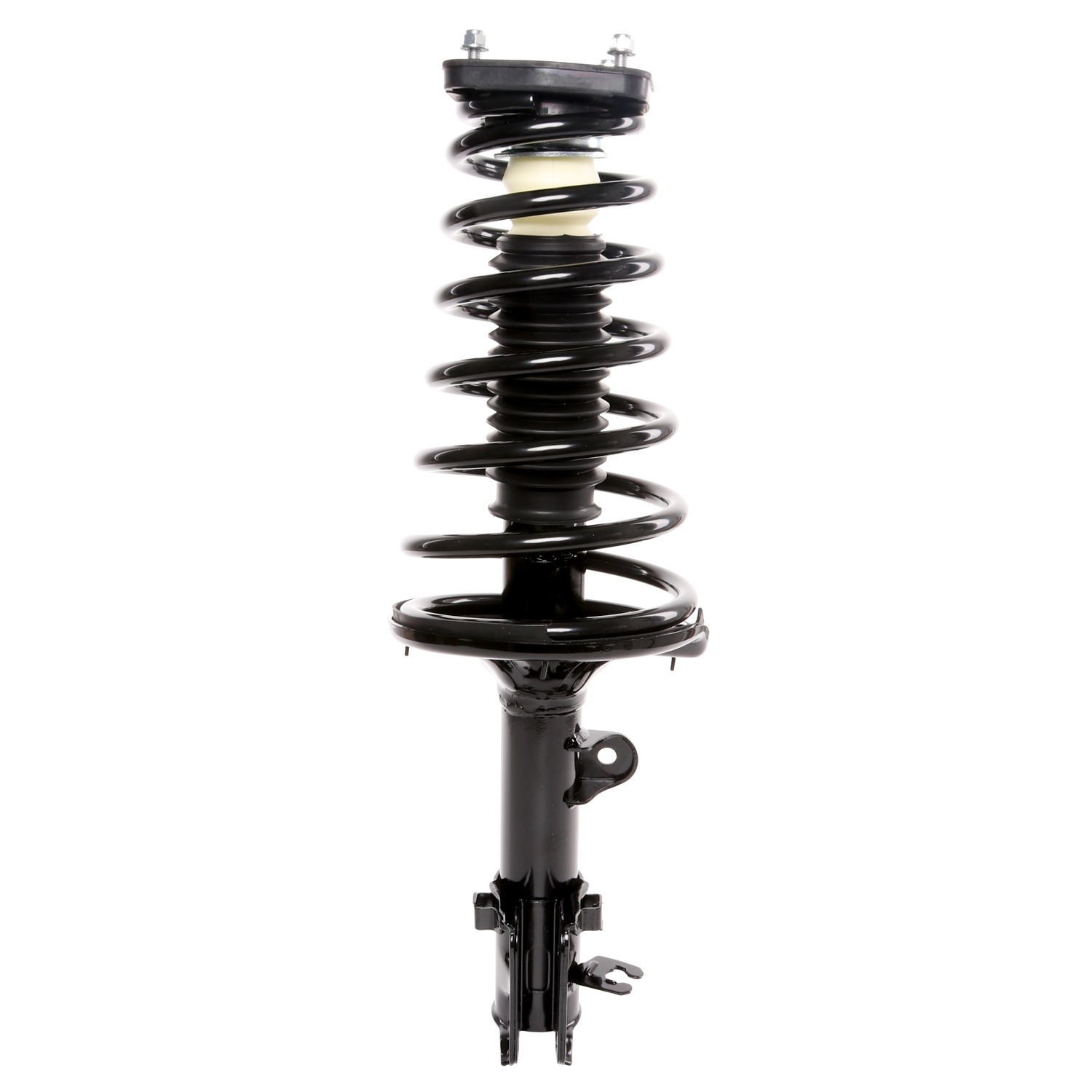 PRT Strut / Coil Spring / Mount Assembly 815215