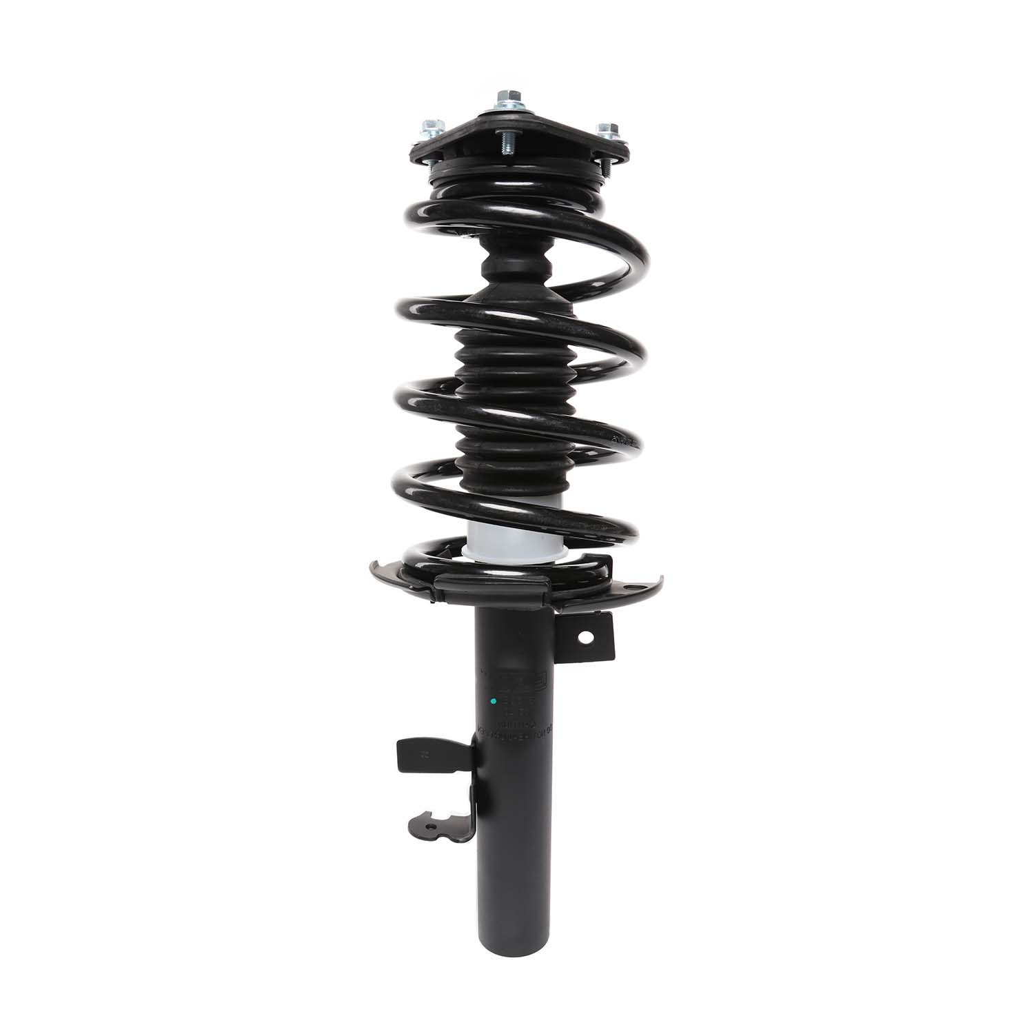 PRT Strut / Coil Spring / Mount Assembly 815382