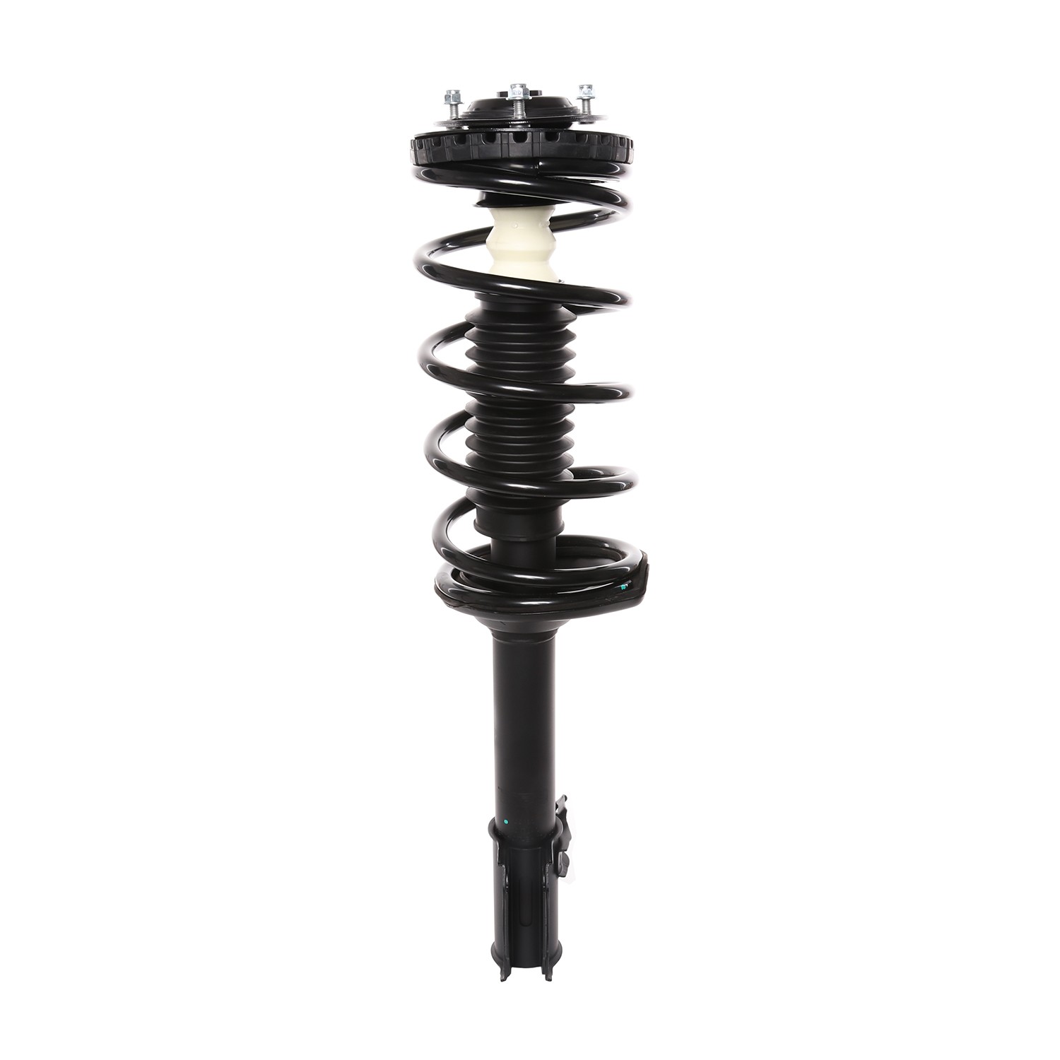 PRT Strut / Coil Spring / Mount Assembly 815904