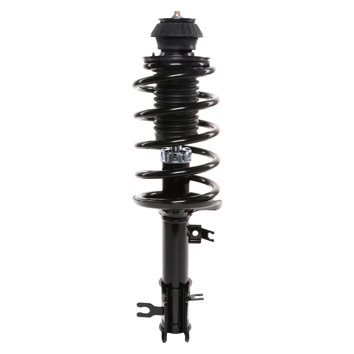 PRT Strut / Coil Spring / Mount Assembly 816646
