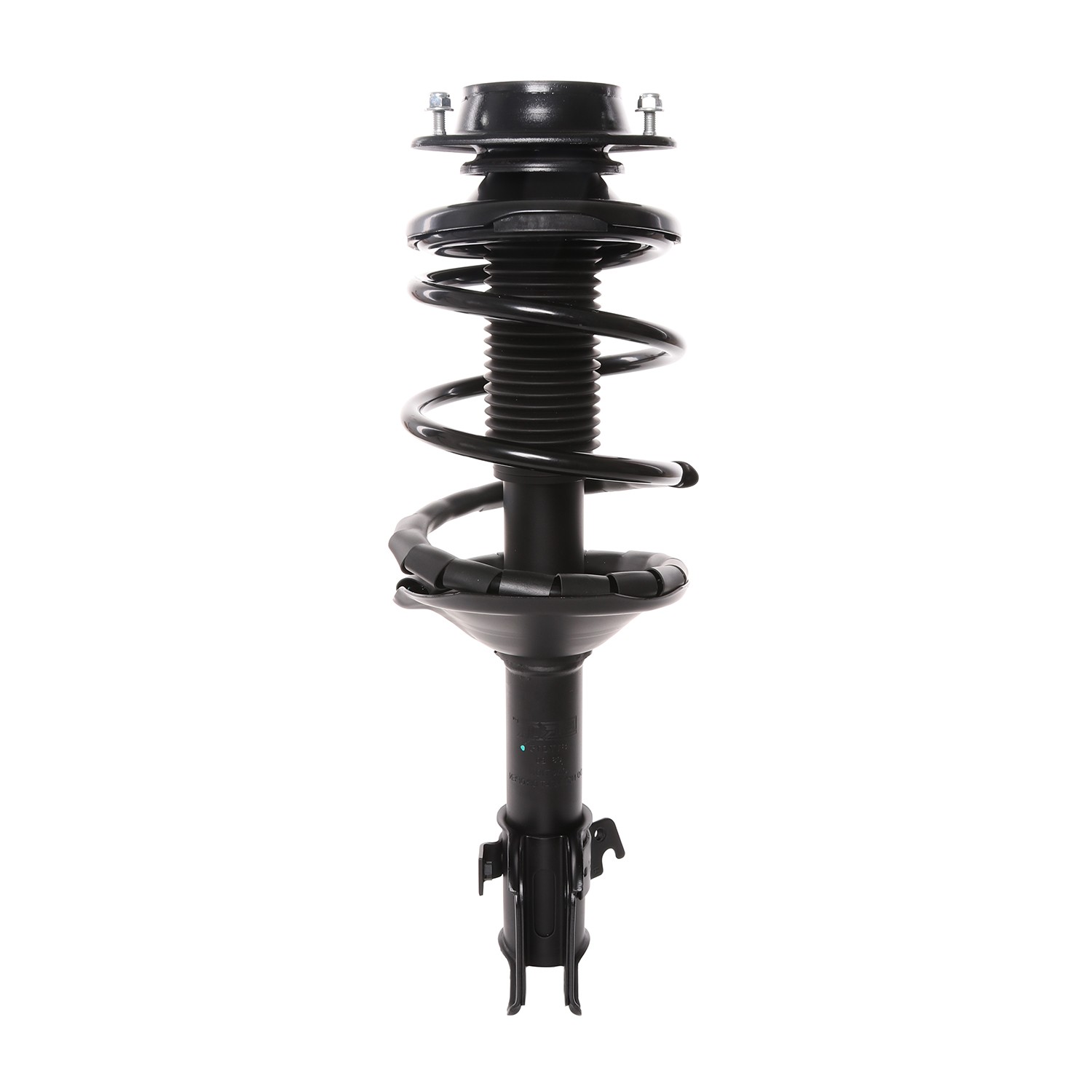 PRT Strut / Coil Spring / Mount Assembly 817016