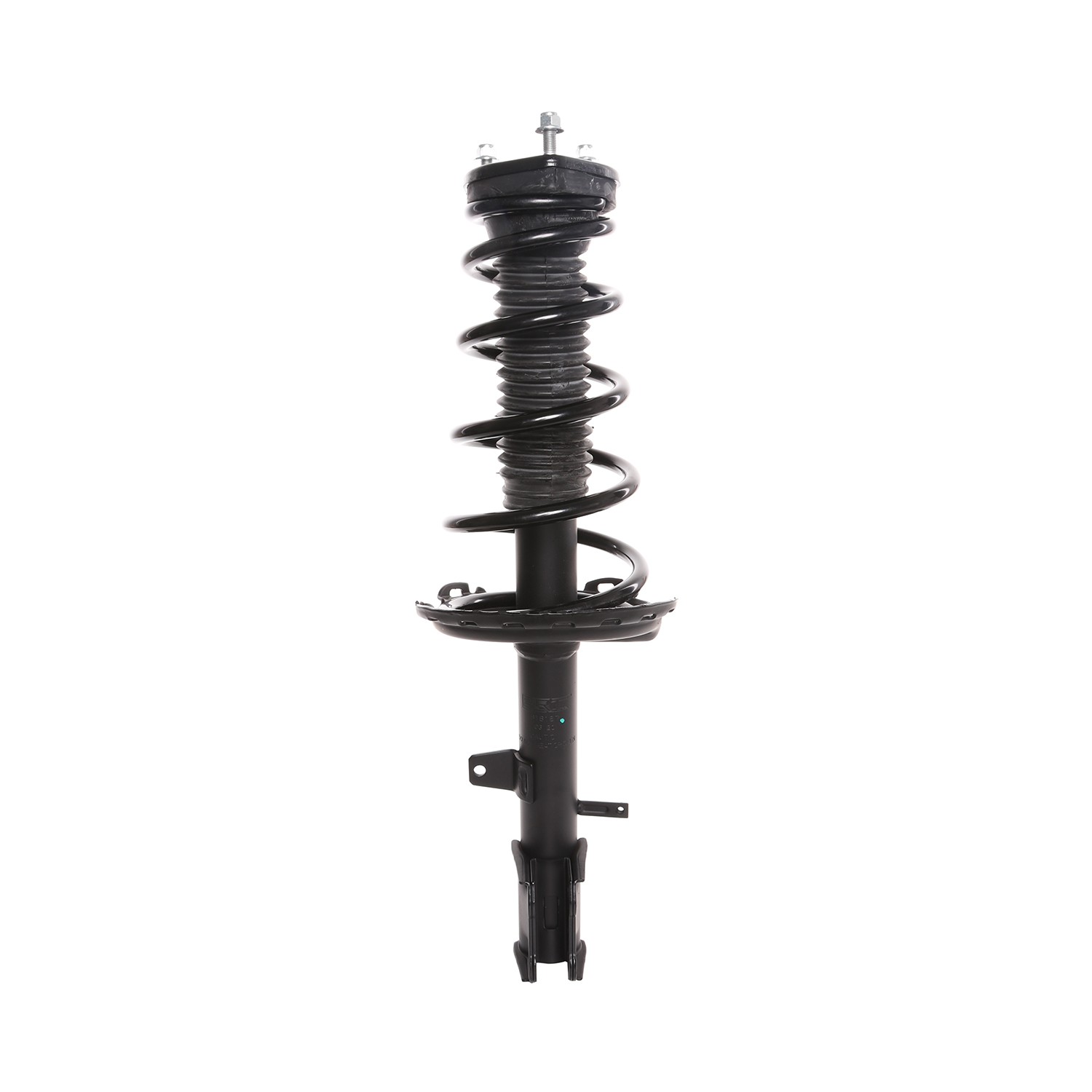 PRT Strut / Coil Spring / Mount Assembly 818187