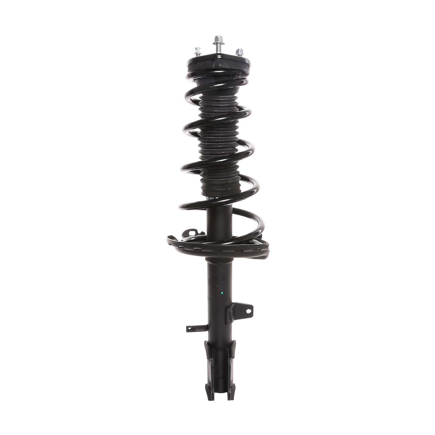 PRT Strut / Coil Spring / Mount Assembly 818188