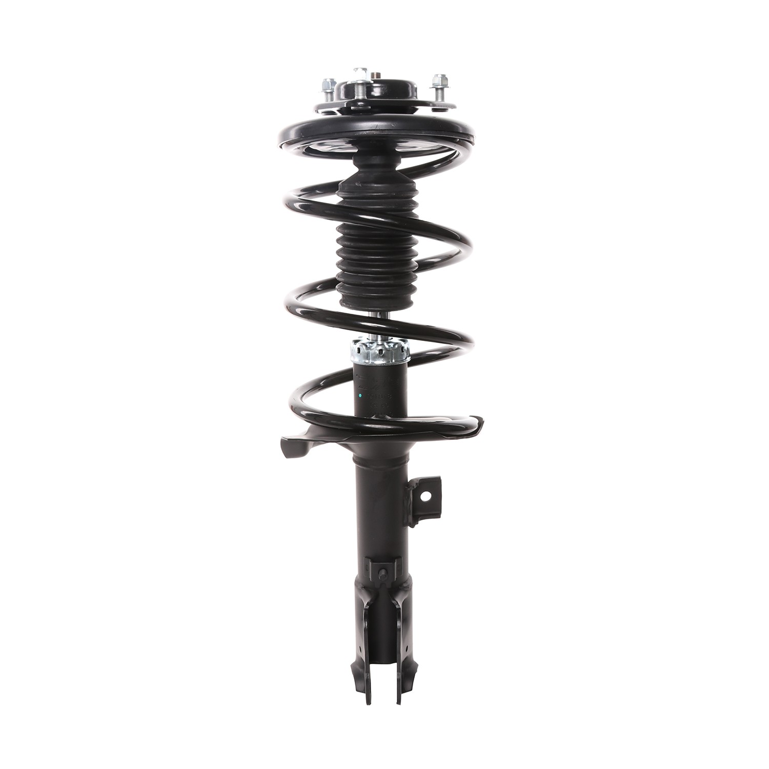 PRT Strut / Coil Spring / Mount Assembly 818192