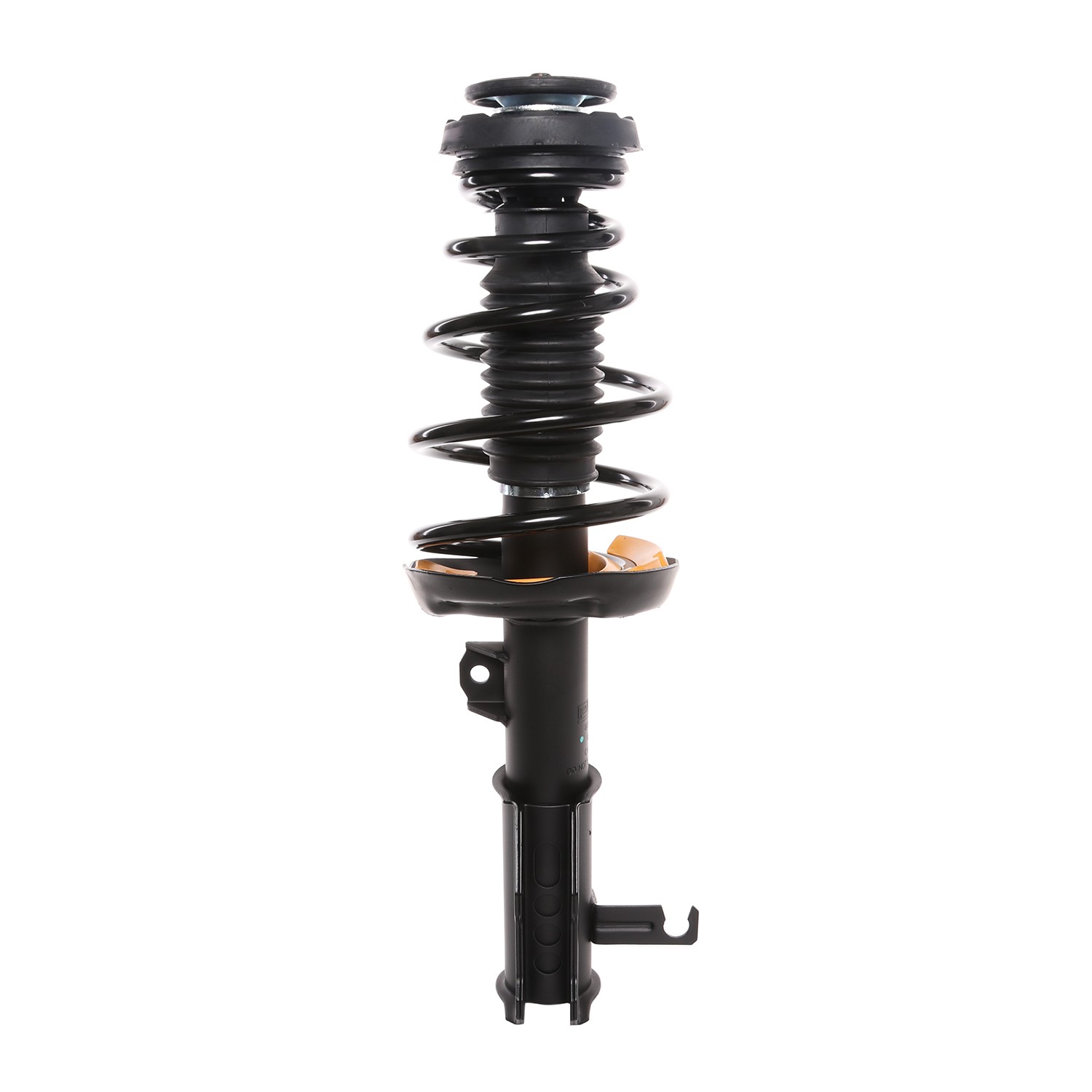PRT Strut / Coil Spring / Mount Assembly 818197