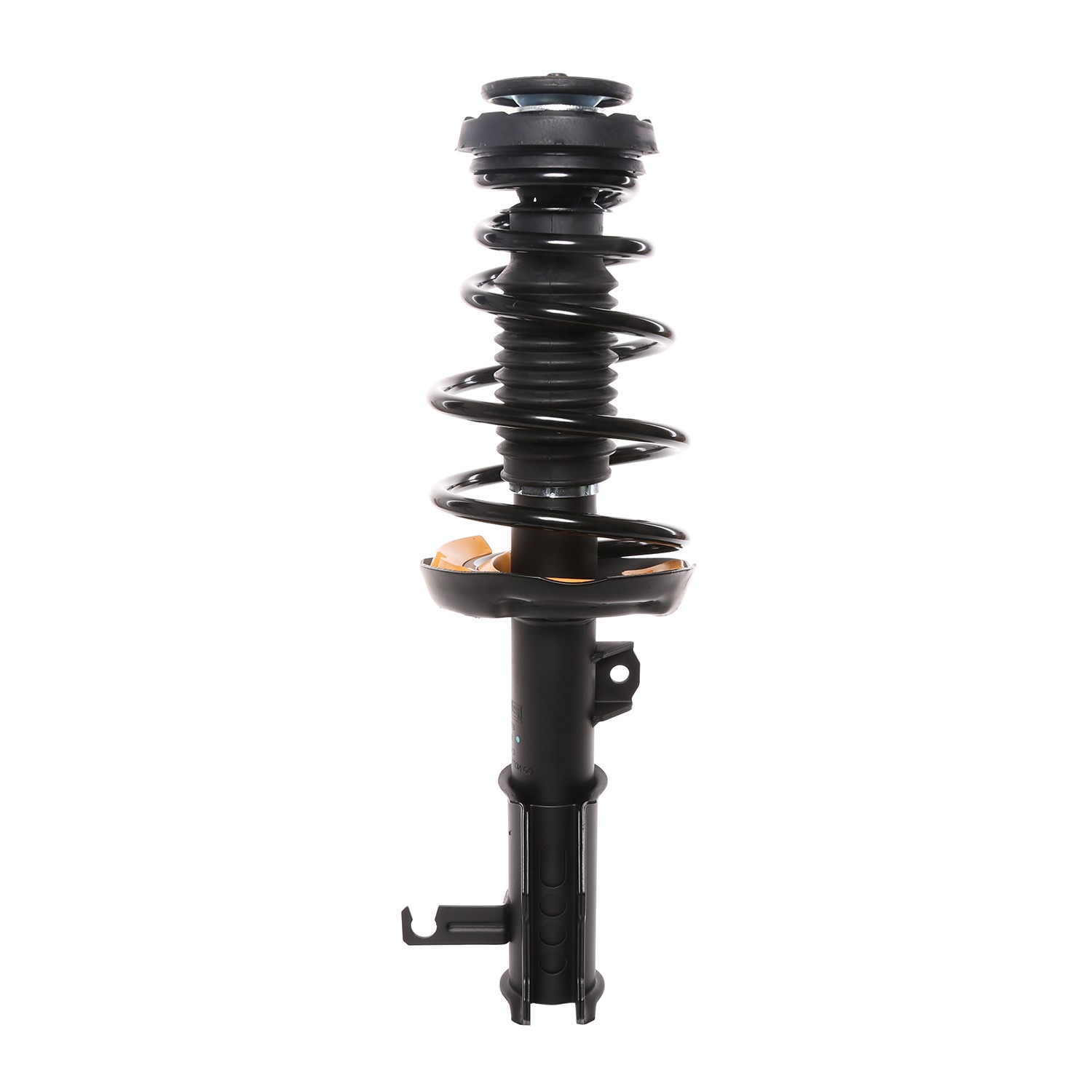PRT Strut / Coil Spring / Mount Assembly 818198
