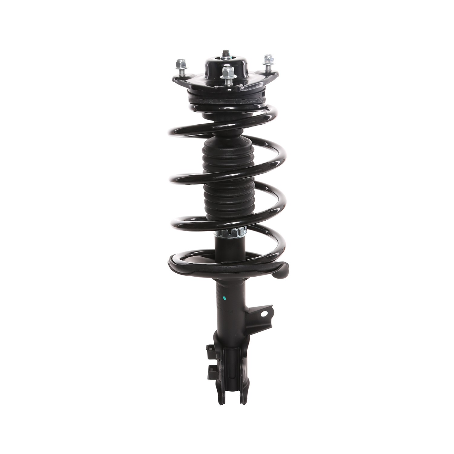 PRT Strut / Coil Spring / Mount Assembly 818204