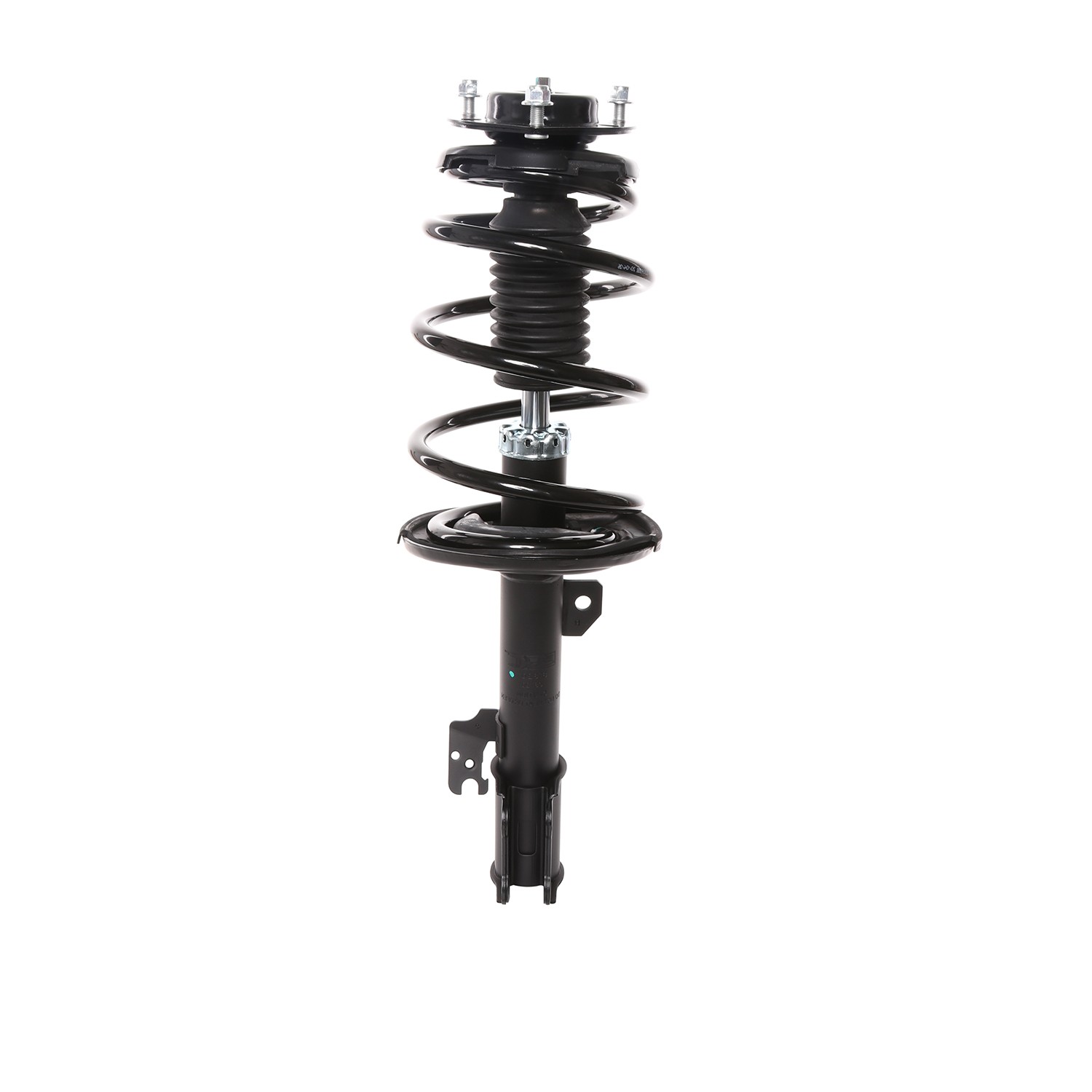 PRT Strut / Coil Spring / Mount Assembly 818208