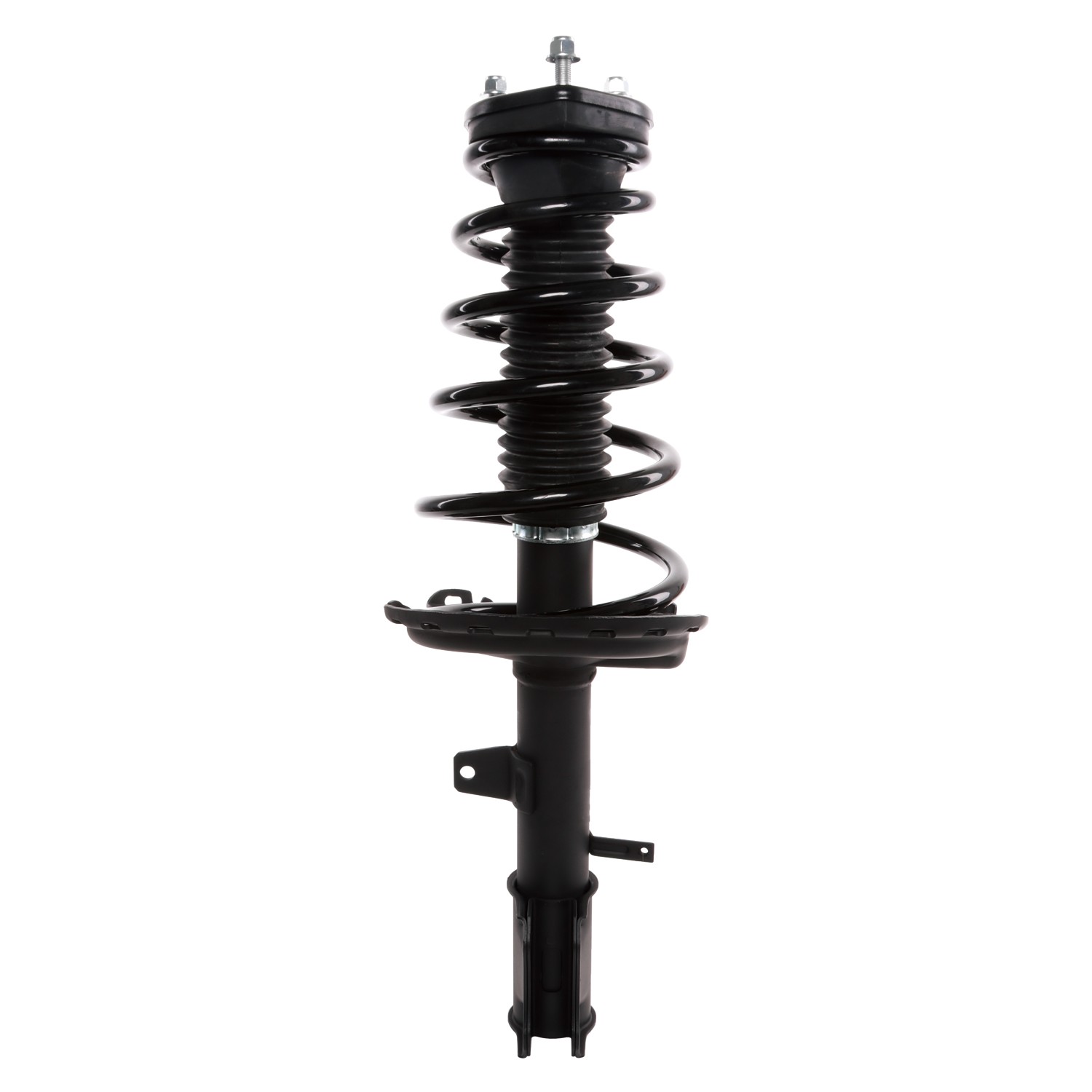 PRT Strut / Coil Spring / Mount Assembly 818213