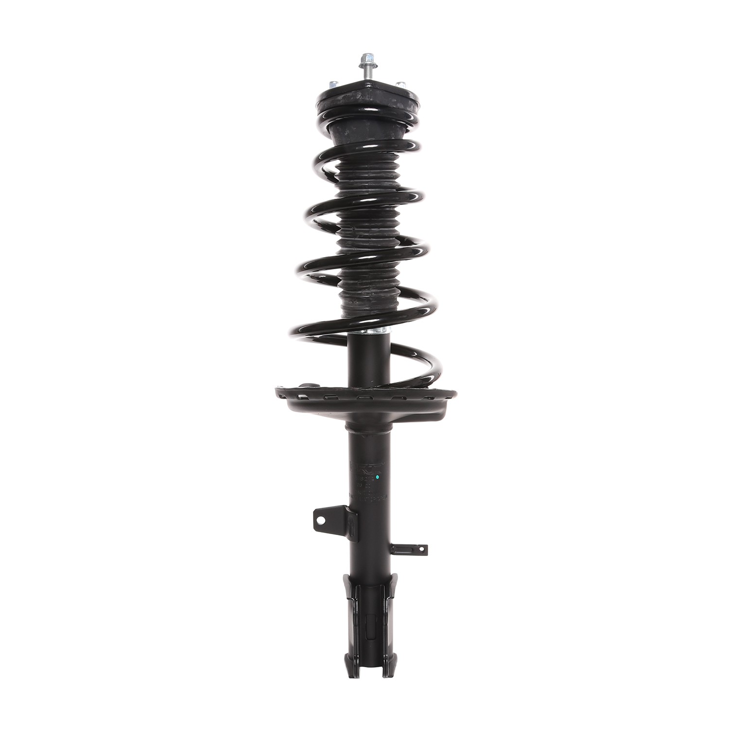 PRT Strut / Coil Spring / Mount Assembly 818219