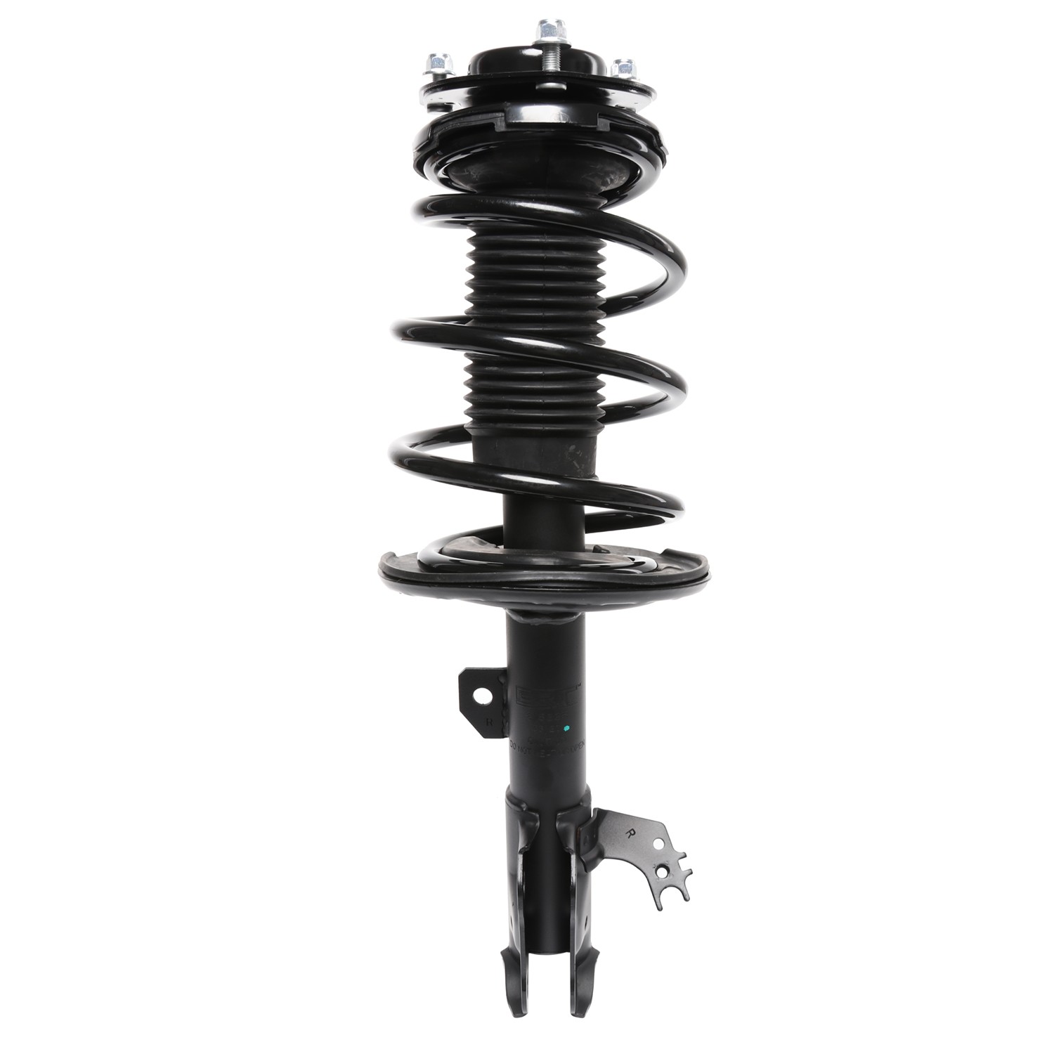 PRT Strut / Coil Spring / Mount Assembly 818225