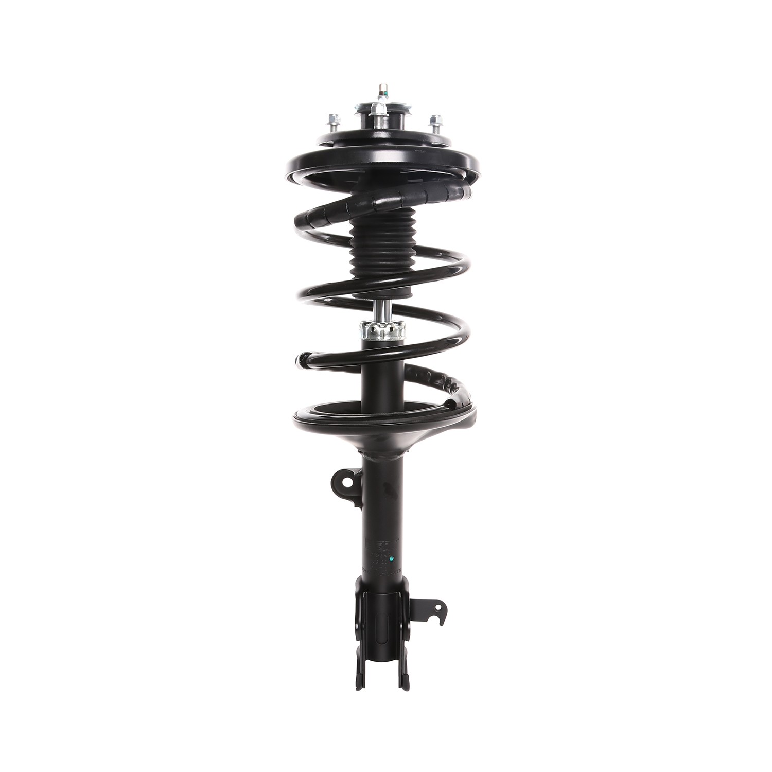 PRT Strut / Coil Spring / Mount Assembly 818289