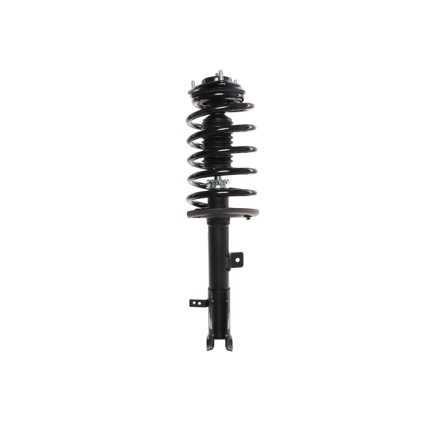 PRT Strut / Coil Spring / Mount Assembly 818628
