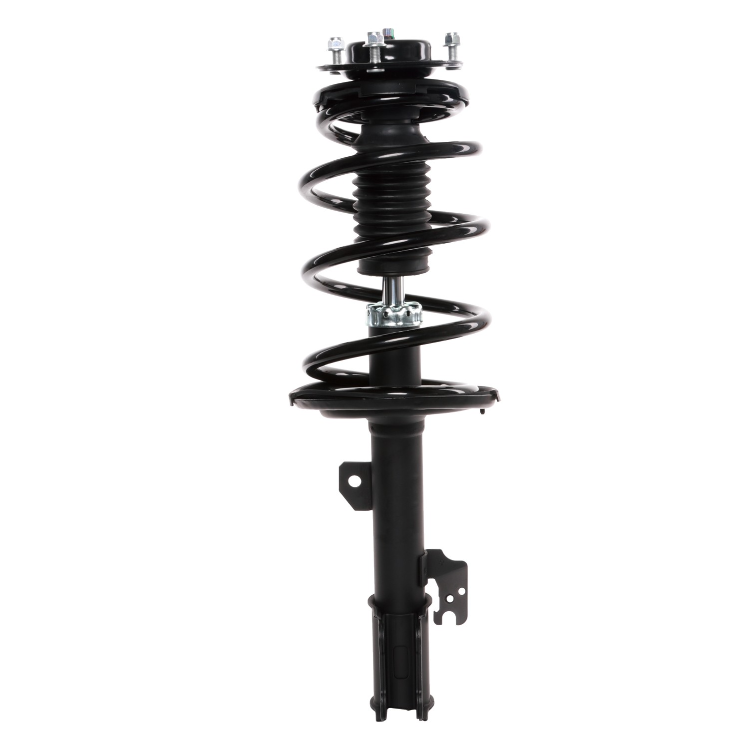 PRT Strut / Coil Spring / Mount Assembly 818905