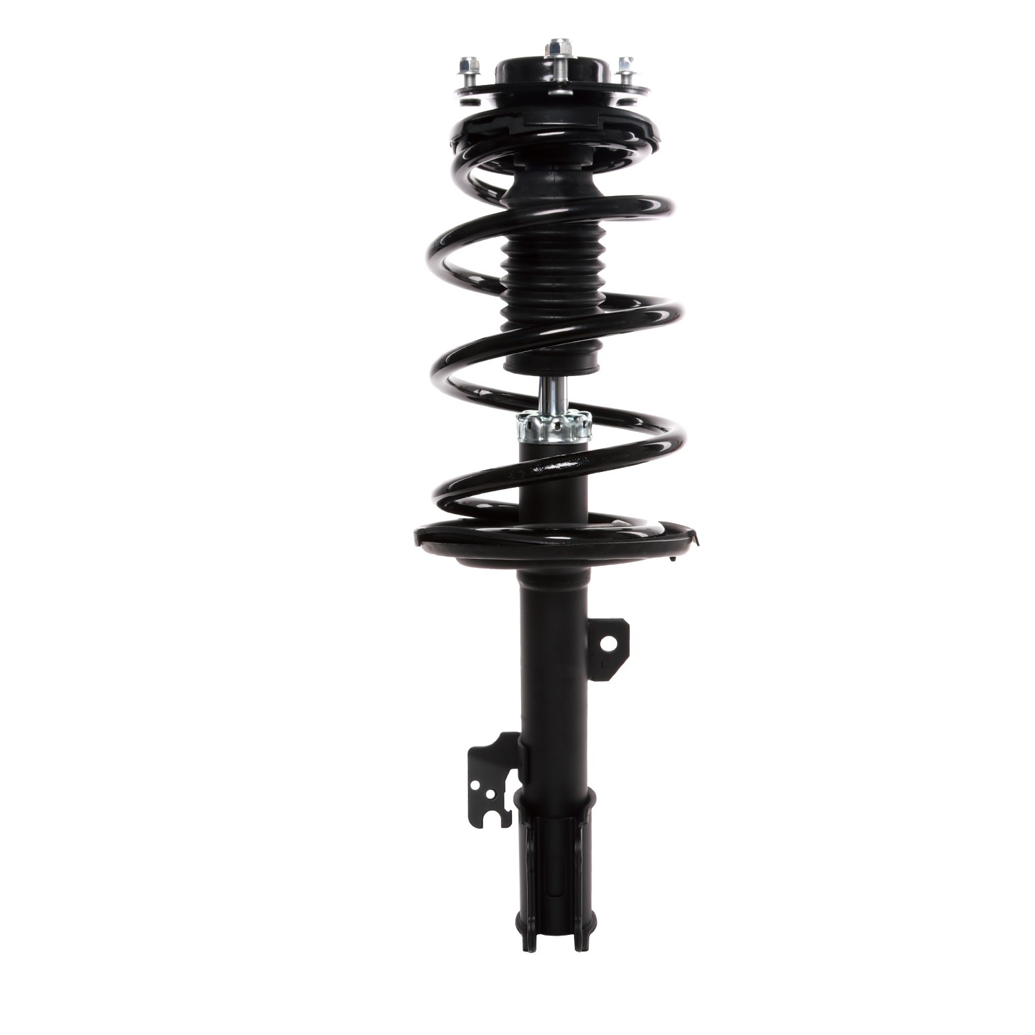 PRT Strut / Coil Spring / Mount Assembly 818906