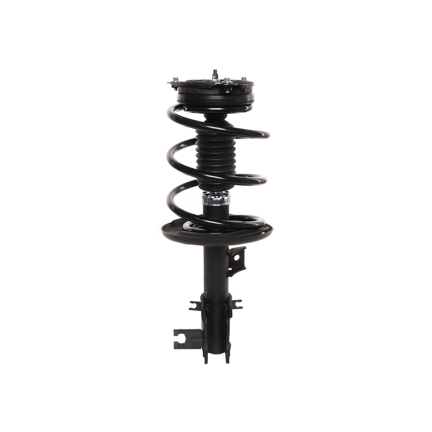 PRT Strut / Coil Spring / Mount Assembly 818908