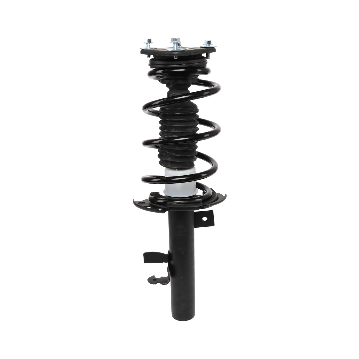 PRT Strut / Coil Spring / Mount Assembly 818910