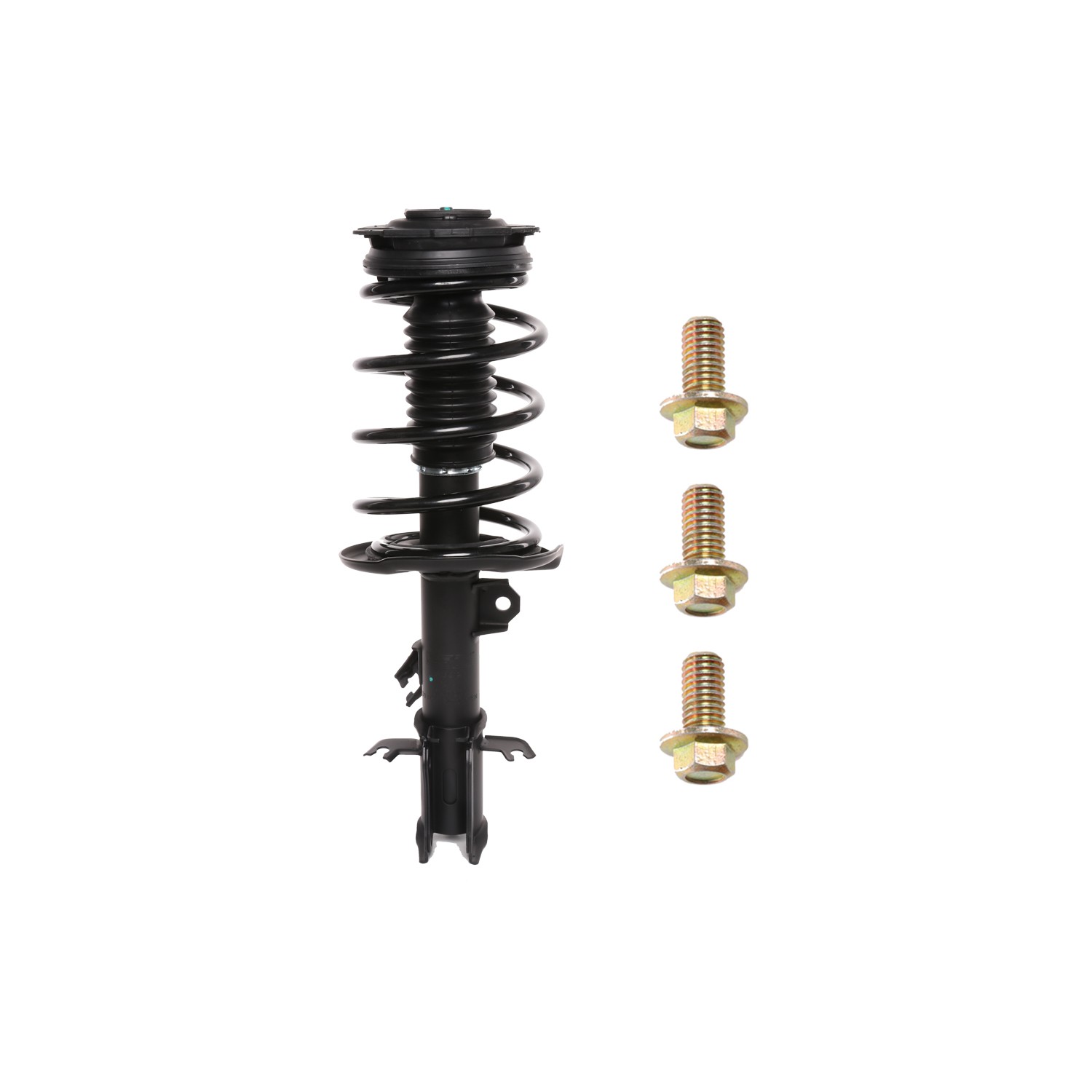 PRT Strut / Coil Spring / Mount Assembly 818912