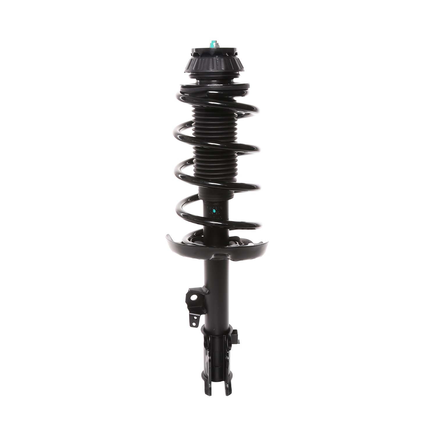 PRT Strut / Coil Spring / Mount Assembly 818988