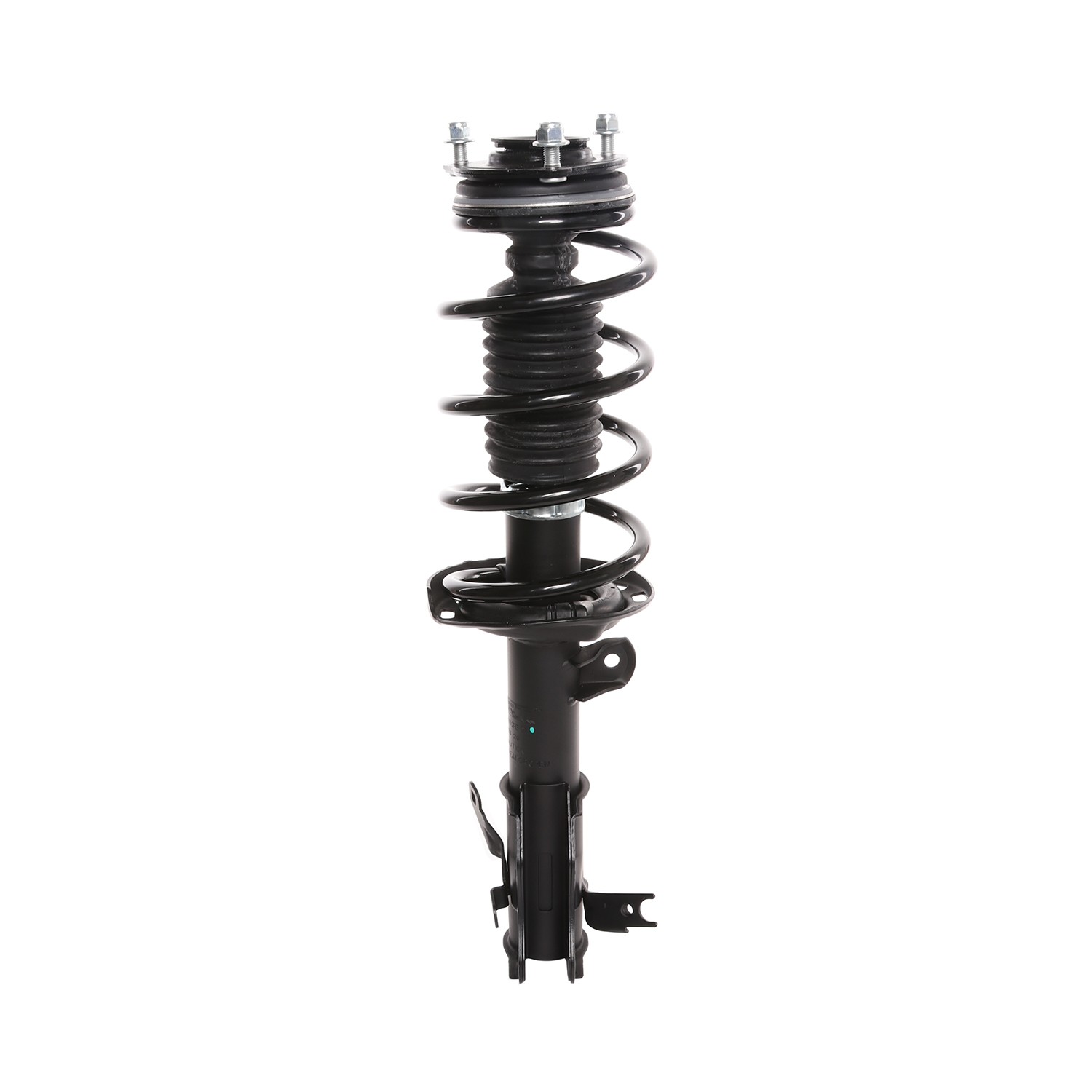 PRT Strut / Coil Spring / Mount Assembly 819380