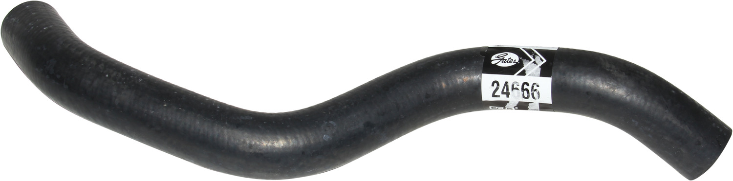 GATES Radiator Lower Hose 24666