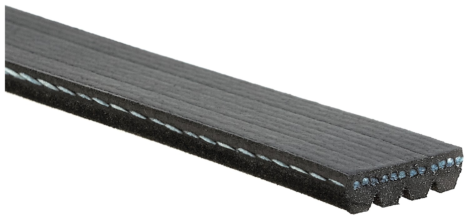 GATES Belt K040299SF