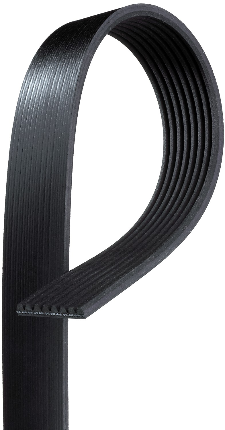GATES Belt K080375