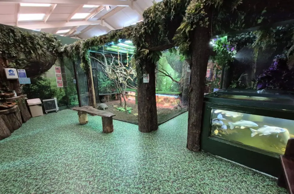 Nature Fun, Epping, Essex, London, UK