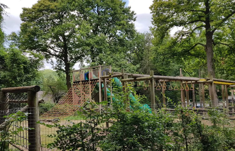 Joy, Addington, Croydon, London, UK