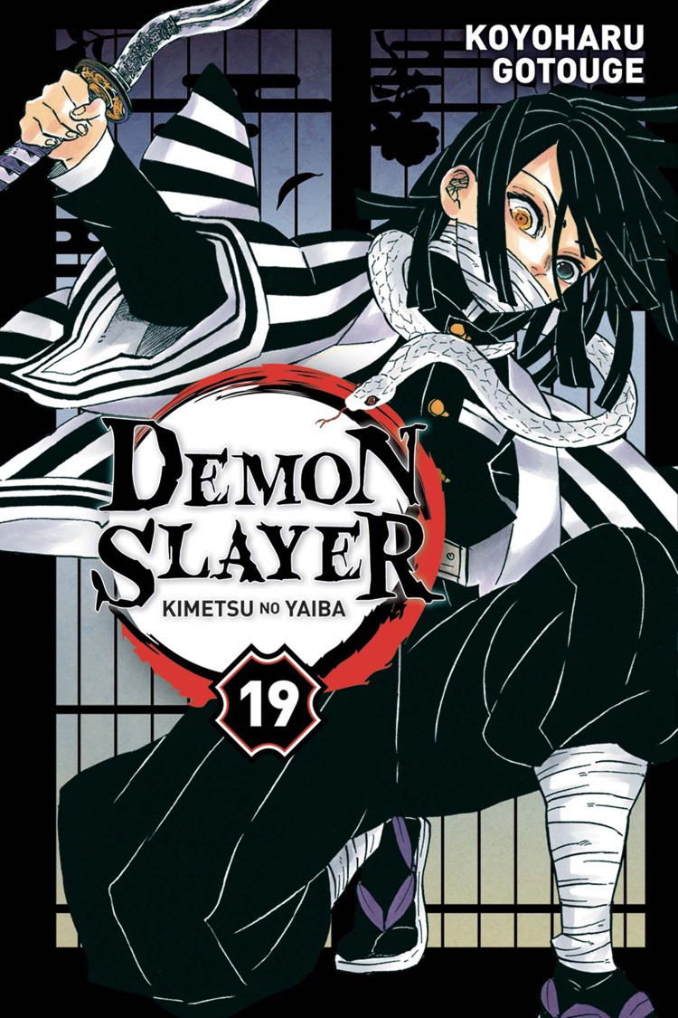 MANGA DEMON SLAYER TOME 22 AVEC ROMAN T3 COFFRET MANGA