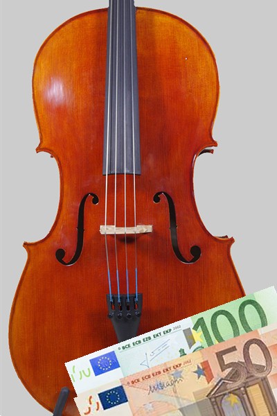 Violoncelle 4/4 Modèle Etude