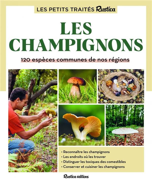 Voici les champignons les plus toxiques en France