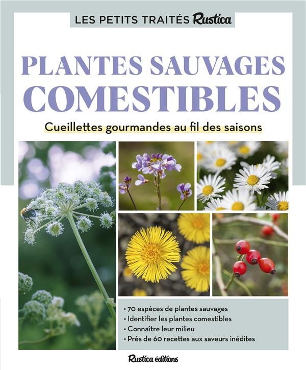 Les fleurs comestibles, déco et gourmandes : Mon jardin